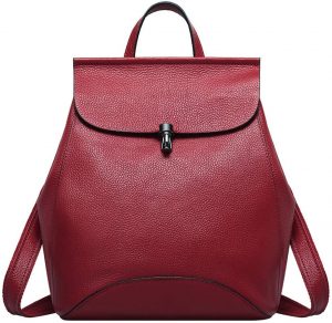 Heshe-Genuine-Leather-Backpack-for-Women_Wine_RRspacebusiness